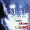 Seal - Kiss from a rose