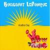 Buckshot LeFonque - Another day